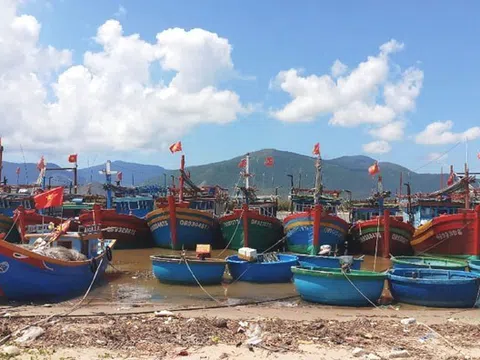 TS. Lê Thành Ý: Khai thác hải sản những vấn đề cần đặt ra đối với Việt Nam