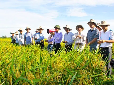 Thái Lan thúc đẩy công tác khuyến nông, đổi mới toàn diện ngành nông nghiệp