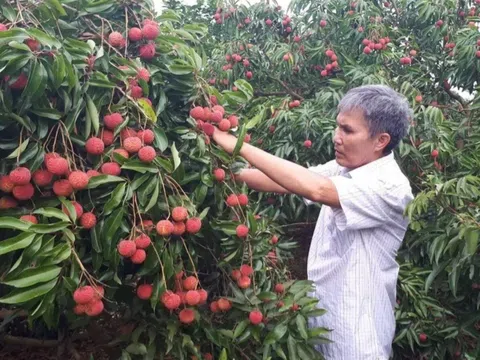 Phát triển du lịch nông nghiệp, nông thôn: Đầu tư chuyên sâu mới có khách