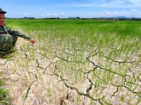 Vật vã với nắng nóng, khô hạn tại miền Trung