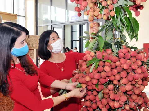 Xúc tiến thương mại: Thúc đẩy tiêu thụ sản phẩm trong và ngoài nước