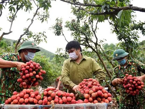 Nhiều giải pháp hỗ trợ doanh nghiệp xuất khẩu