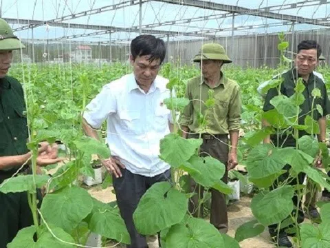 Dấu ấn cựu chiến binh xung kích trên mặt trận xóa đói, giảm nghèo