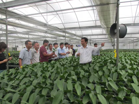 Câu lạc bộ Đổi mới sáng tạo ngành rau hoa quả tổ chức hội thảo