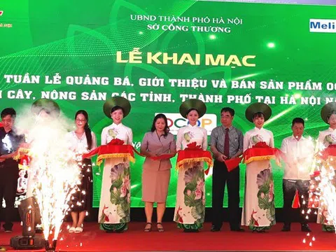 Khai mạc Tuần lễ quảng bá, giới thiệu và bán sản phẩm OCOP