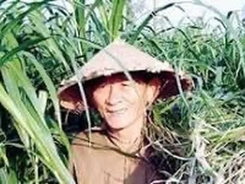 Chăn trâu cùng Anh hùng lao động Hồ Giáo