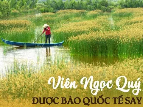 Việt Nam được chuyên trang du lịch quốc tế gọi là "Viên ngọc quý": Niềm mơ ước của người mê sinh thái
