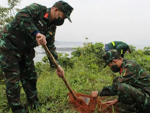 Quảng Ninh trồng mới 1.800ha cây rừng gỗ lớn bản địa