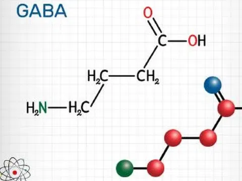 Dự án sản xuất thử nghiệm chế phẩm axit gamma amino butyric (GABA) và thực phẩm chức năng giàu GABA từ gạo lứt, đậu tương