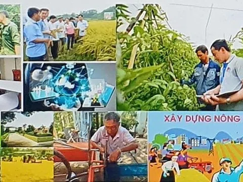 Nông dân sản xuất kinh doanh giỏi là nhân tố thúc đẩy kinh tế nông nghiệp