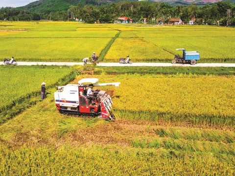 Giới thiệu công trình “Sinh lý của ruộng lúa năng suất cao” của Giáo sư, Viện sĩ Đào Thế Tuấn (Phần II)