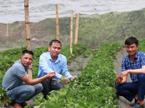 Diễn đàn Nông dân Quốc gia lần thứ VII: 3 lý do phải đẩy nhanh việc "tri thức hóa người nông dân"