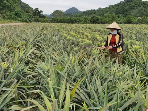 Tạo động lực cho đồng bào vùng dân tộc thiểu số và miền núi vươn lên