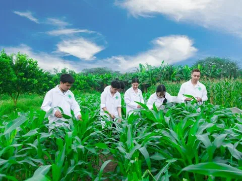 Chuyên nghiệp và hiệu quả, chỉ còn con đường liên kết