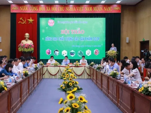 OCOP là giải pháp quan trọng để nâng cao đời sống khu vực nông thôn