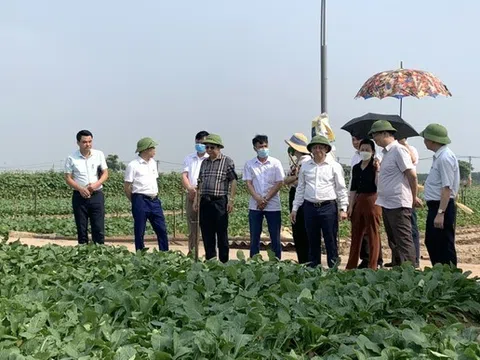 Mê Linh - Hà Nội đạt chuẩn nông thôn mới