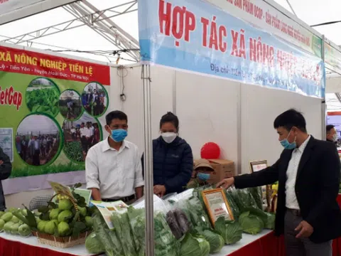 Chuyển đổi số trong sản xuất nông nghiệp tại Hà Nội