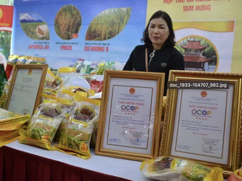 Hỗ trợ chuỗi liên kết trong nông nghiệp: kẹt cả chính sách cũ lẫn mới