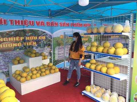 Chương Mỹ - Hà Nội: HTX Nông nghiệp Nam Phương Tiến chuyển đổi sản xuất theo hướng hữu cơ