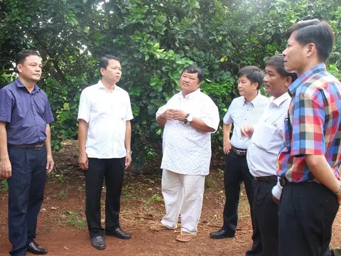 Anh nông dân người Nùng tích cực xây dựng quê hương