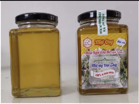 Xác định chất lượng đặc thù đăng ký bảo hộ chỉ dẫn địa lý cho sản phẩm mật ong hoa ngũ bì Vân Thuỷ