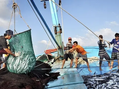 Tập trung nguồn lực chống khai thác hải sản bất hợp pháp, quyết tâm gỡ cảnh báo “Thẻ vàng”