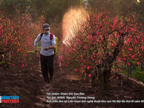 Tác phẩm “Chăm sóc hoa Đào” của NSNA. Nguyễn Trường Giang tại Liên hoan ảnh nghệ thuật khu vực Hà Nội lần thứ IX năm 2022