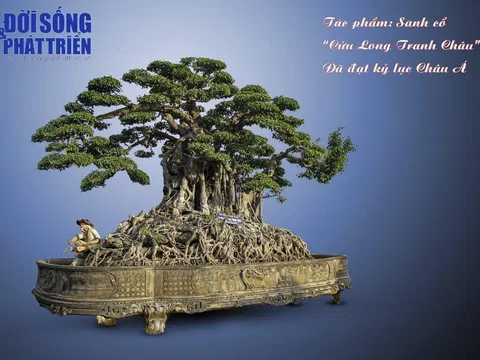 Tác phẩm "Cửu long tranh châu": Bằng chứng của một thú chơi văn hóa có lịch sử lâu đời ở Việt Nam
