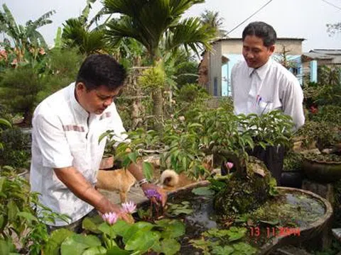 TP. Đà Nẵng: Dấu ấn nông nghiệp đô thị