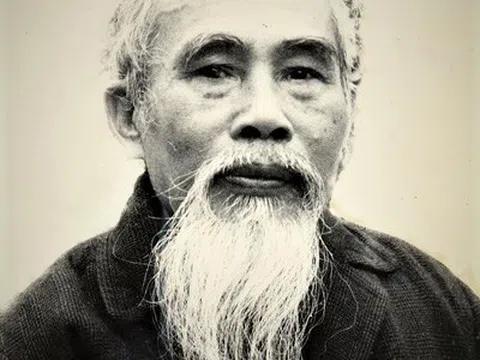 Đào Duy Anh, ngậm đá lấp biển