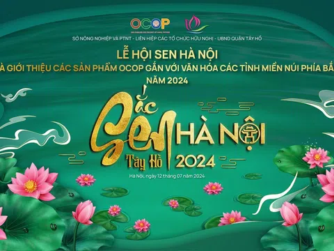 Lễ hội Sen Hà Nội chính thức diễn ra từ 12-16/7/2024 tại Tây Hồ, Hà Nội!