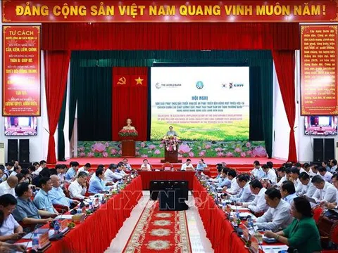 Thủ tướng:  Xây dựng cơ chế chính sách ưu đãi, xác định người dân phải là chủ thể trong triển khai Đề án một triệu ha lúa chất lượng cao, phát thải thấp