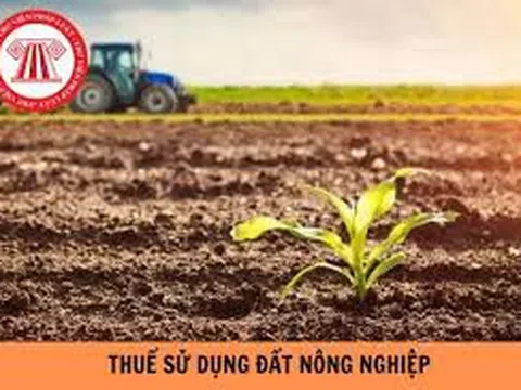 Bộ Tài chính đề nghị tiếp tục miễn thuế sử dụng đất nông nghiệp