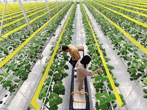Phát triển nông nghiệp Trung Quốc dựa trên khoa học công nghệ, chuyển đổi số và AI