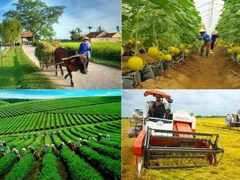Kỷ niệm 80 năm CMT8 và QK 2/9: Phát triển nông nghiệp, nông dân, nông thôn - Dấu ấn lịch sử và tầm nhìn tương lai