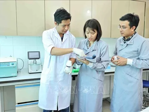 Động lực then chốt phát triển quốc gia trong kỷ nguyên mới