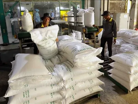 Tăng cường các giải pháp thúc đẩy sản xuất, xuất khẩu và ổn định thị trường gạo