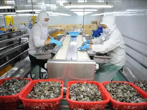 Cà Mau: Tăng cường truy xuất nguồn gốc, bảo đảm chất lượng nông, lâm, thủy sản xuất khẩu