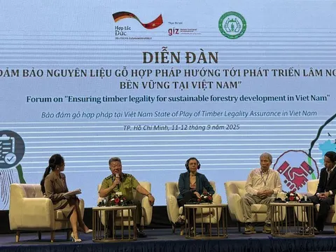 Đảm bảo nguyên liệu gỗ hợp pháp hướng tới phát triển lâm nghiệp bền vững tại Việt Nam