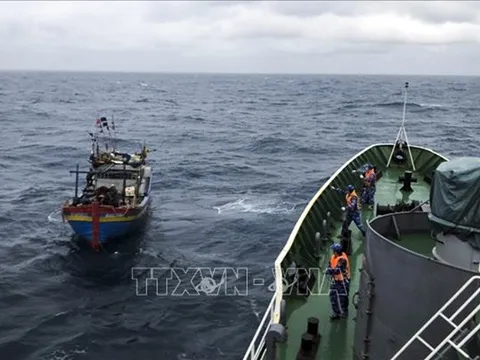 Ngày 16/9, vùng áp thấp, có khả năng mạnh lên thành áp thấp nhiệt đới