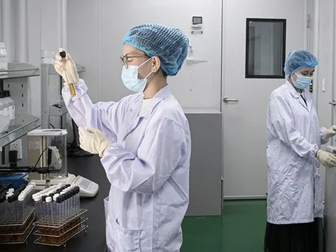Cơ chế, chính sách thu hút nhân tài phục vụ đổi mới sáng tạo và chuyển đổi số: Bước tiến thể chế cho phát triển bền vững