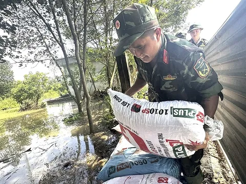 Ngày 10/10, lũ trên sông Cầu đạt đỉnh, nhiều khu vực trung du và đồng bằng Bắc Bộ vẫn ngập sâu