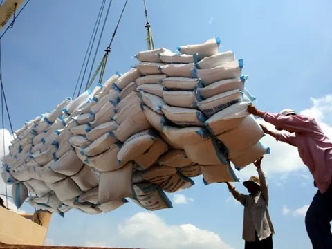Ghana trở thành thị trường xuất khẩu gạo lớn nhất của Việt Nam trong tháng 9