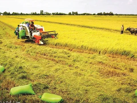 Vĩnh Long: Ứng dụng tiến bộ khoa học, công nghệ và cơ giới hóa trong sản xuất nông nghiệp - Đòn bẩy phát triển bền vững