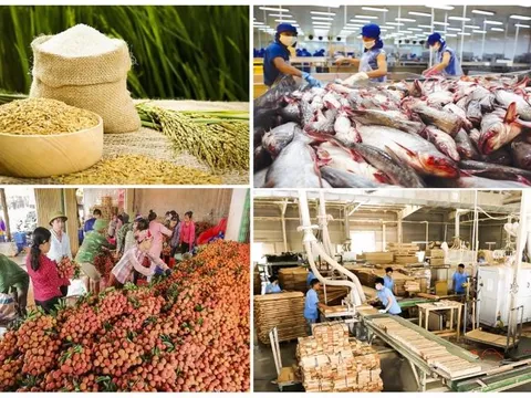 Những thách thức và triển vọng xuất khẩu nông, lâm, thuỷ sản Việt Nam: Hướng tới nền nông nghiệp bền vững trong thập niên tới