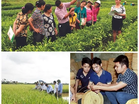 Quy định đơn vị sự nghiệp công lập khuyến nông cấp tỉnh, cấp xã