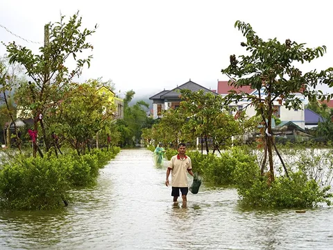 Ngày 1/11, Mưa lớn diện rộng ở Trung Bộ, Bắc Bộ trời lạnh và có nơi rét