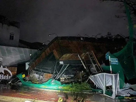 Hỗ trợ khẩn cấp 80 tỷ đồng cho 3 tỉnh Quảng Ngãi, Gia Lai, Đắk Lắk khắc phục hậu quả bão số 13