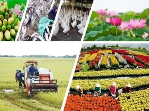 Ngành nông nghiệp duy trì tăng trưởng dù bị thiệt hại do thiên tai: Thử thách sức chống chịu và nội lực phát triển bền vững