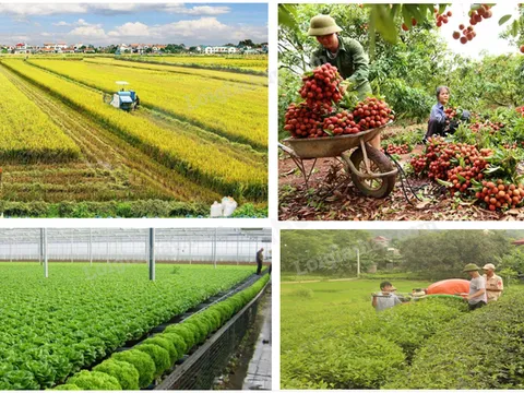 Ngành Nông nghiệp và Môi trường – Mũi nhọn trong chuyển đổi xanh và tăng trưởng bền vững